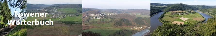 Towener
W�rterbuch